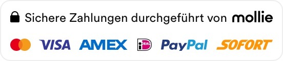 Sichere Zahlungen durchgeführt von Mollie Sichere Zahlungen durchgeführt von Mollie